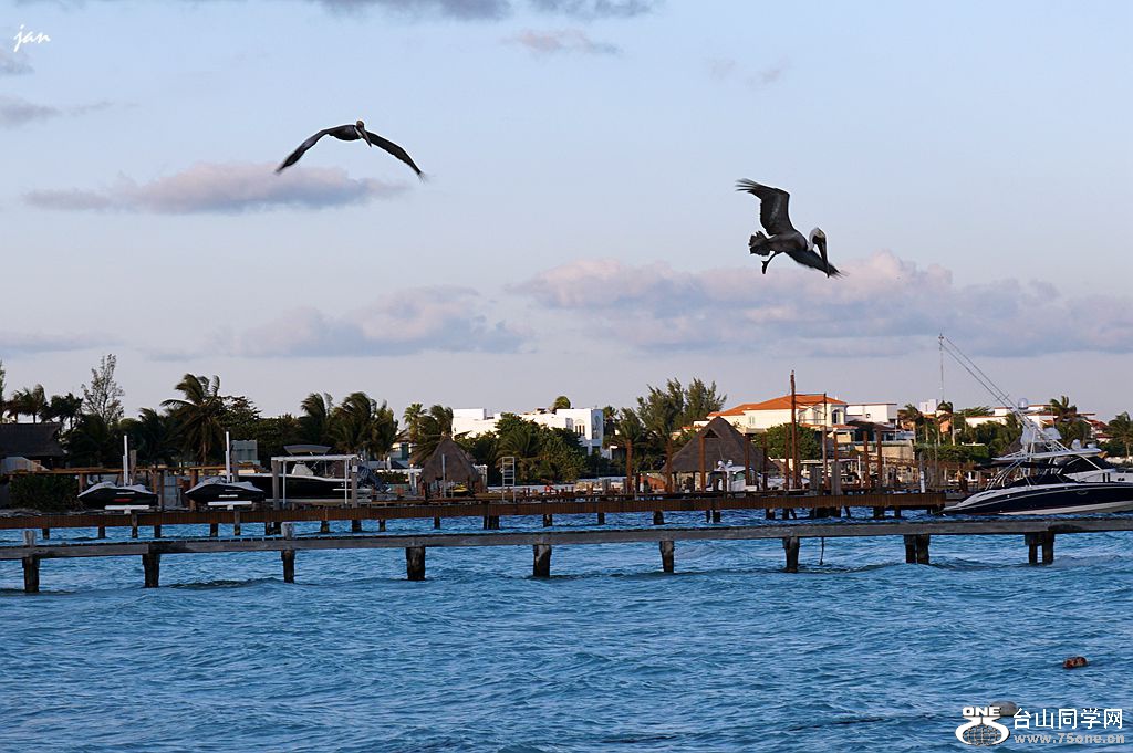 DSC02136.JPG