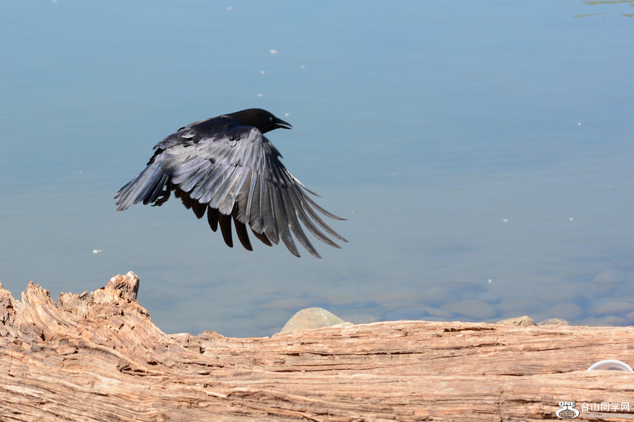 DSC_8790_023.jpg