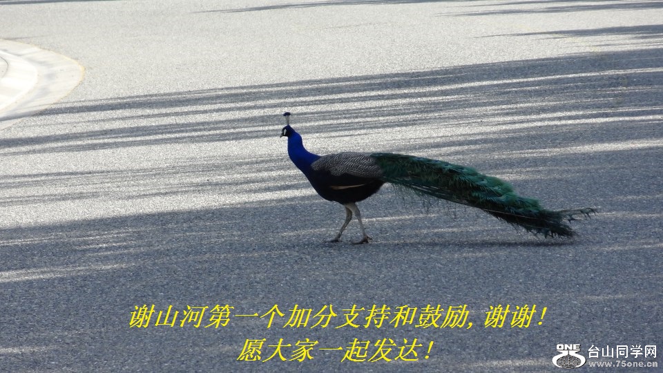 лɽӵһӷֺ֧͹,лл!Ըһ𷢴!.jpg