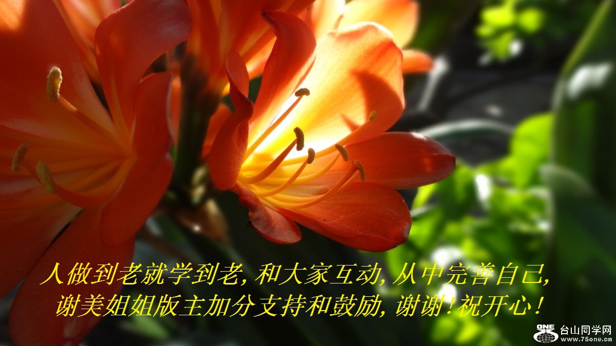Ͼѧ,ʹһ,Լ,лӷֺ֧͹,лл!ף!.jpg