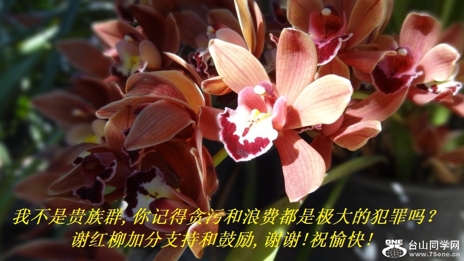 ҲǹȺ,ǵá̰ۺ˷ѶǼķлӷֺ֧͹,лл!ף!.jpg