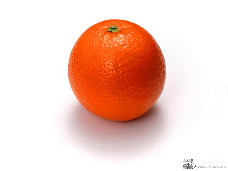 0025_.jpg