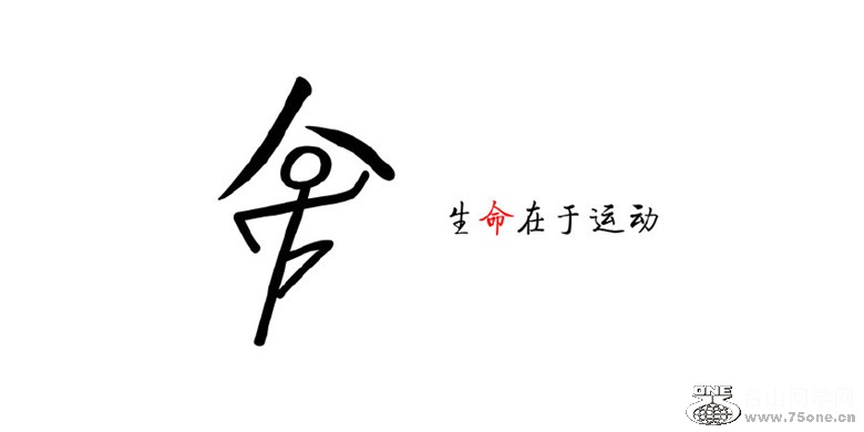 159511-aa55_.jpg