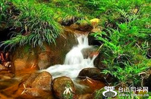t0111a02ace1b978ed4_.jpg