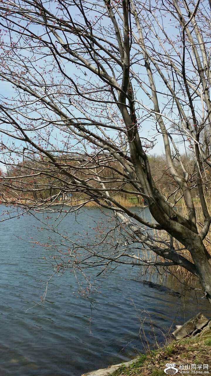 20150420220604.jpg