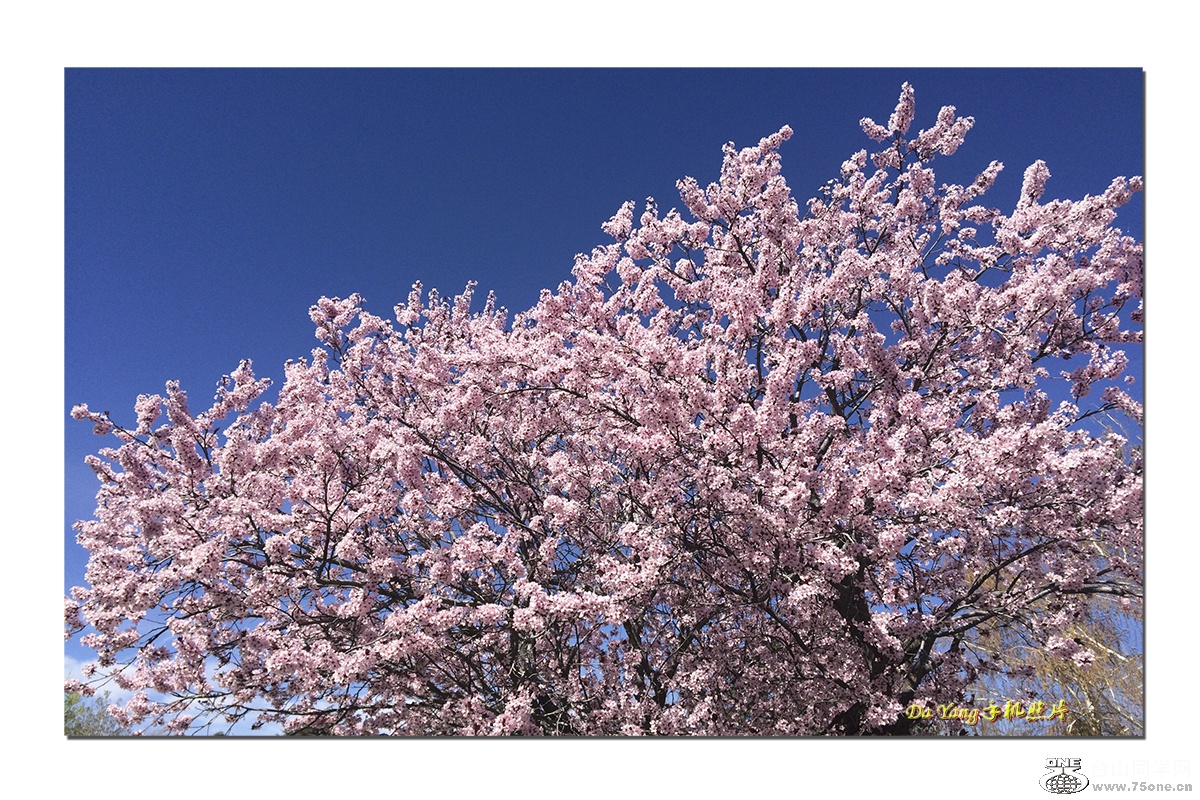 QQͼƬ20150326130730-1.jpg
