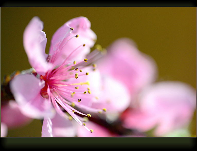 DSC_6193_.jpg