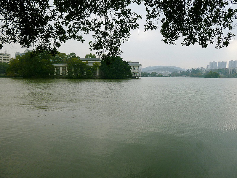 DSCF0363.jpg
