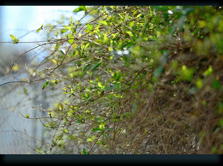 DSC_7717..jpg