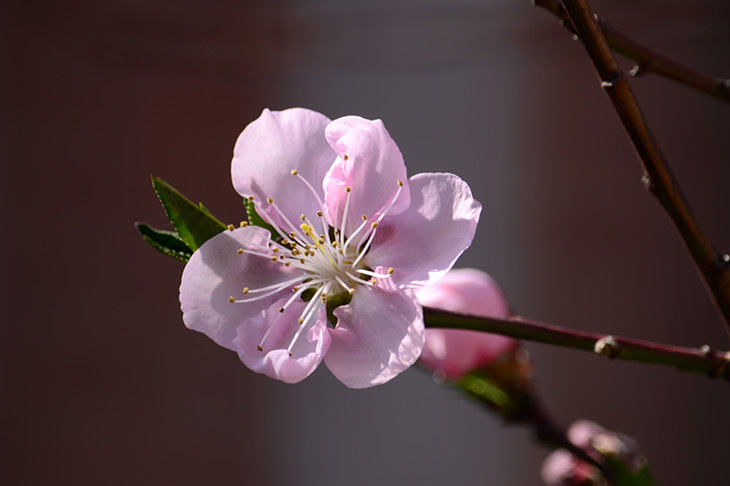 DSC_0875_.jpg