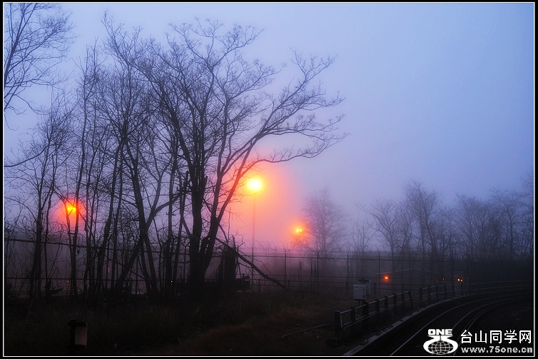 DSC_8499.JPG
