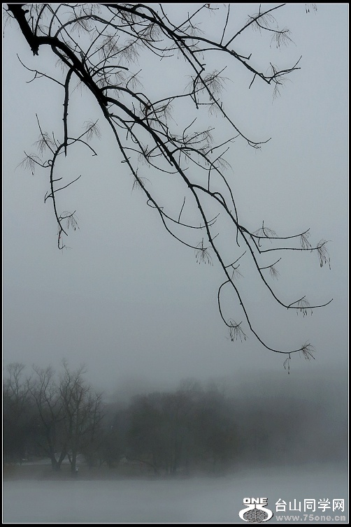 IMG_6864.JPG