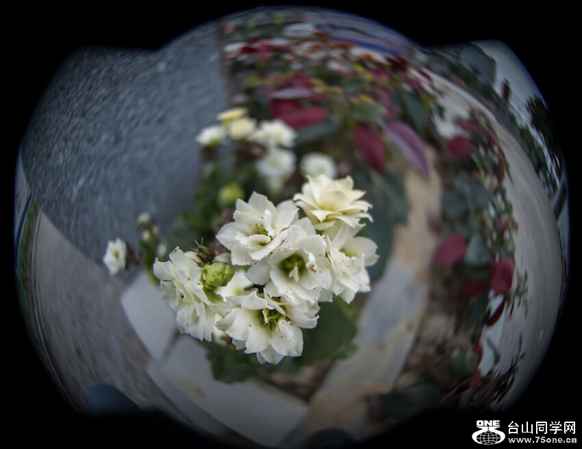 QQͼƬ20150331140824.jpg