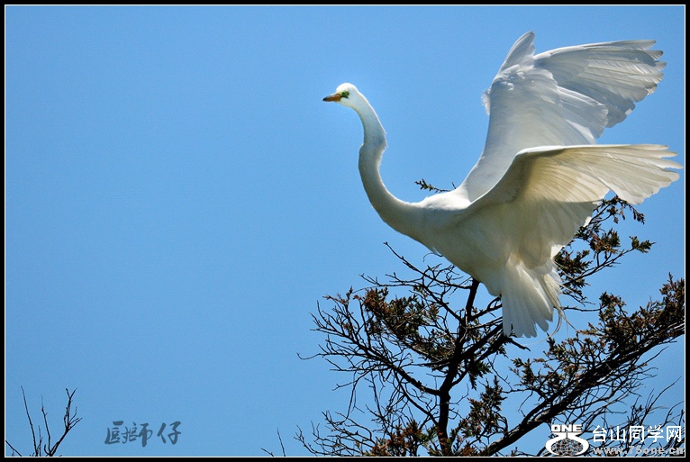 DSC_2319__.jpg