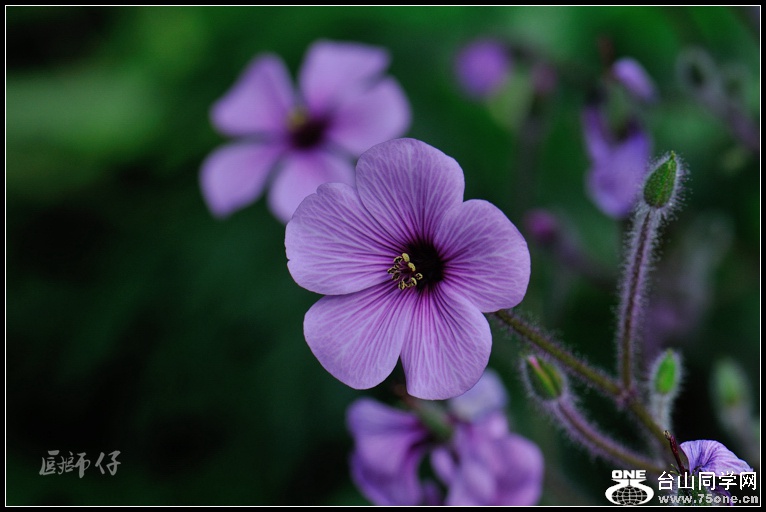 DSC_3585.jpg