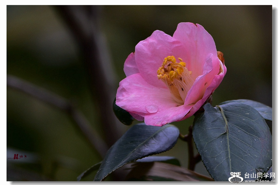 DSC_5288_.jpg