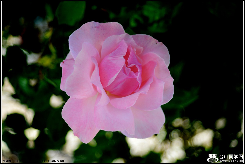 DSC_1022.jpg