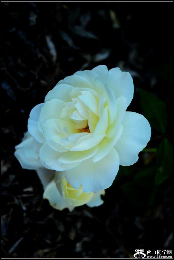 DSC_1025.jpg