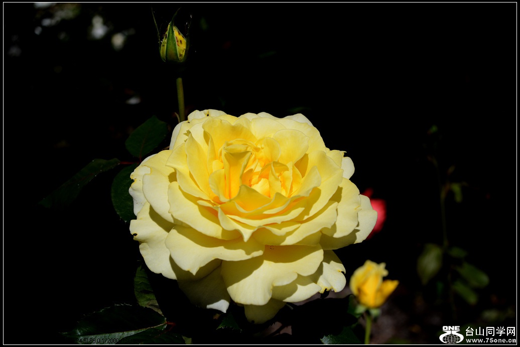 DSC_1030.jpg