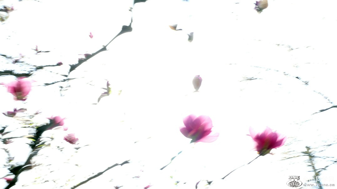 l2240429_conew2.jpg