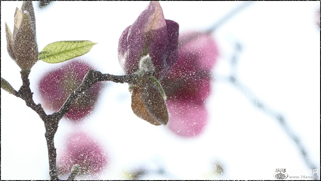 l2240279_conew4.jpg