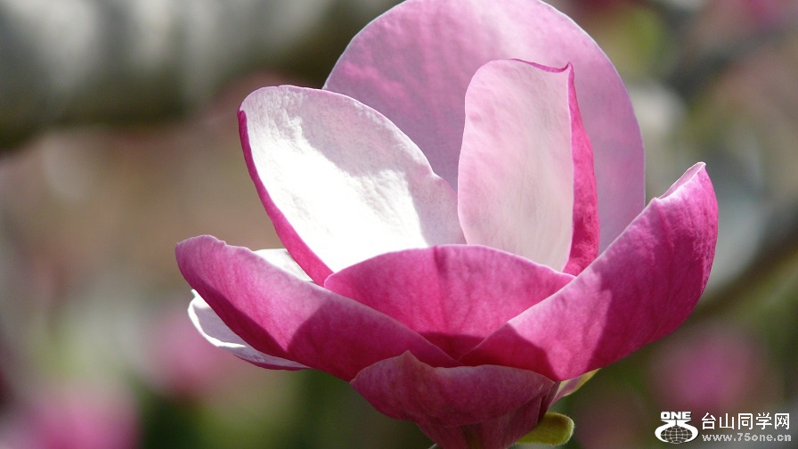 l2240494_conew1.jpg