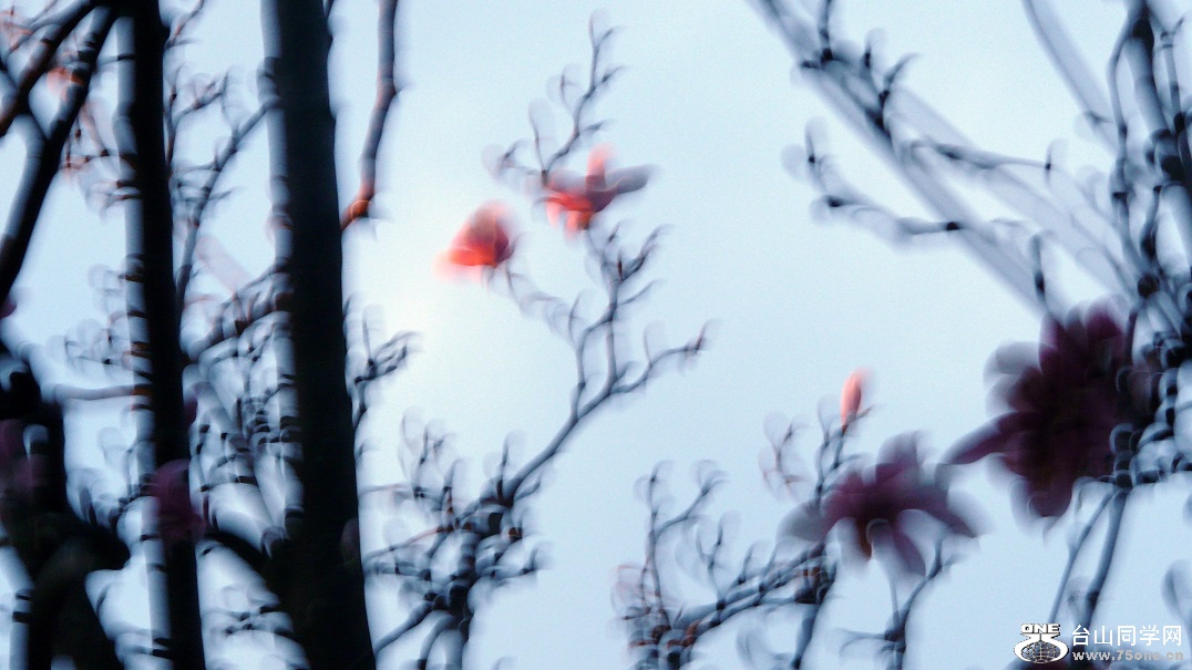 l2250714_conew5.jpg