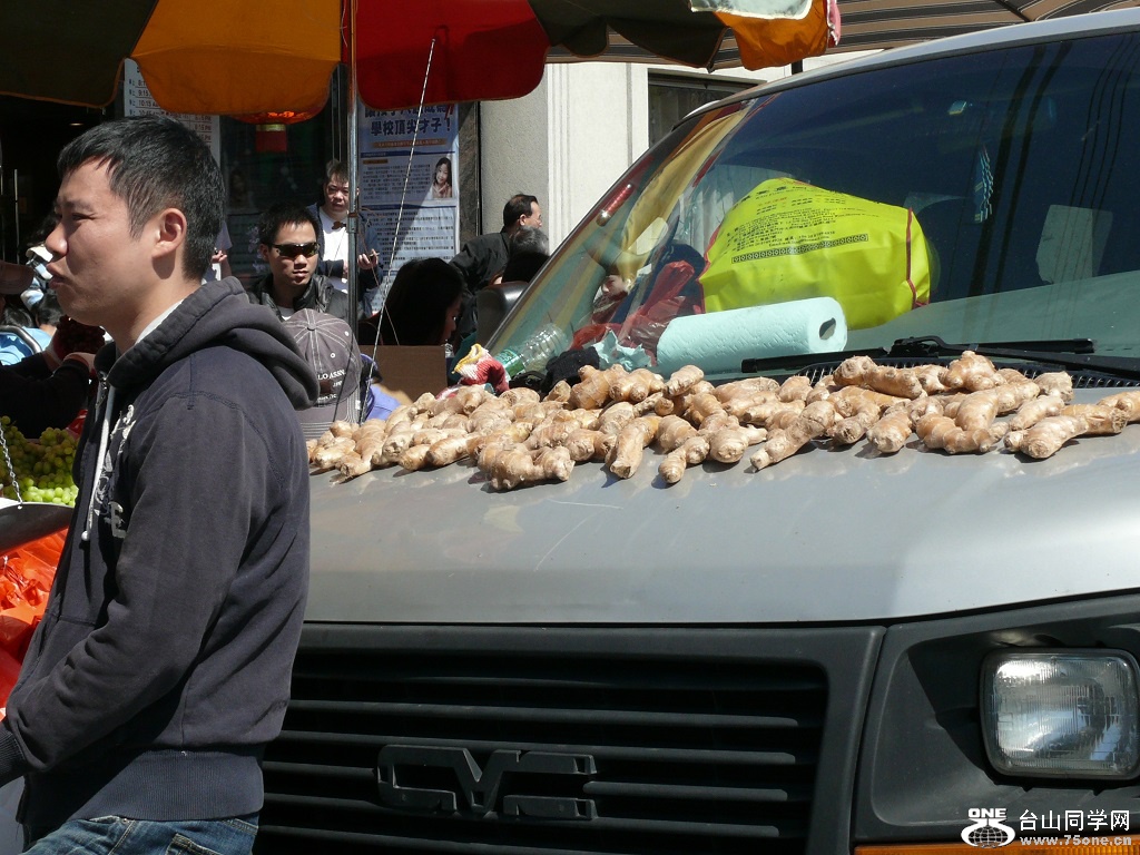 L2230317.JPG