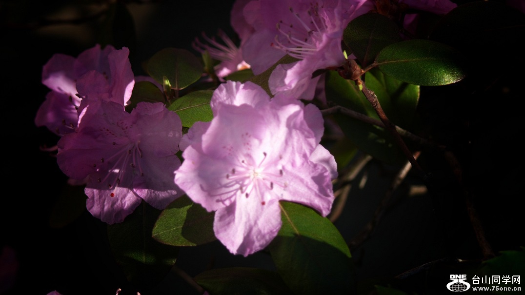 l2260258_conew1.jpg