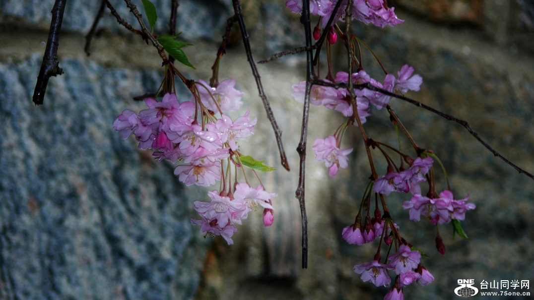 l2250432_conew1.jpg