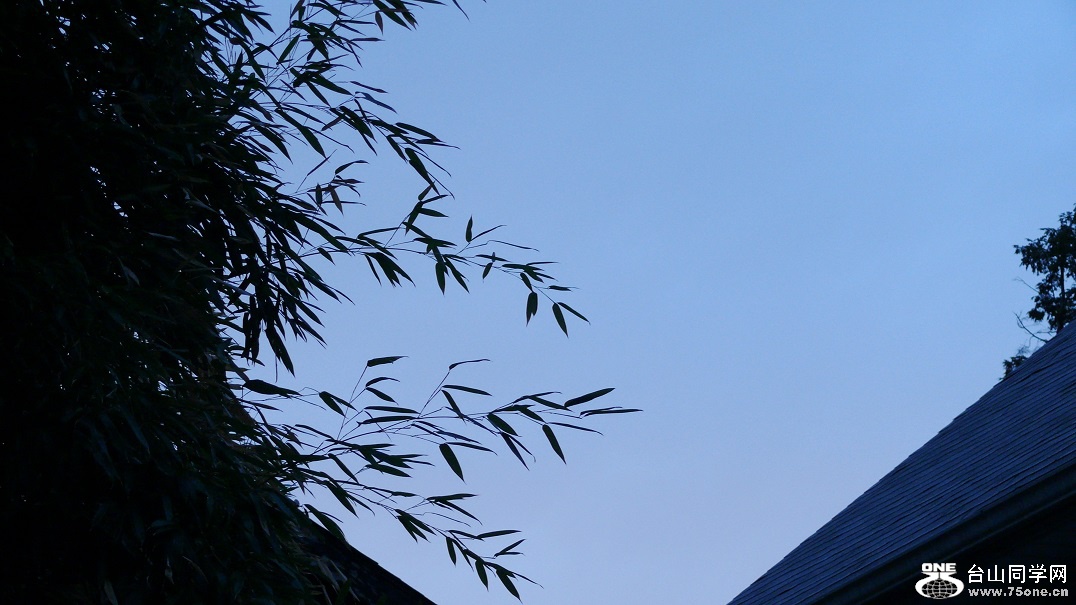 l2250753_conew1.jpg