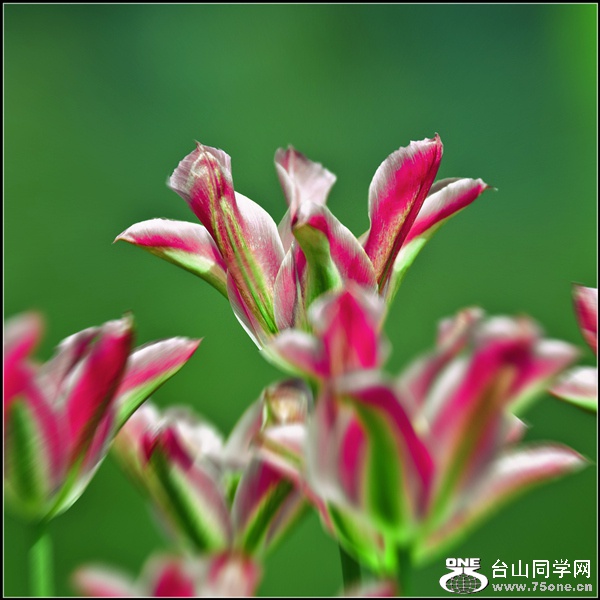 _DSC7431_����.jpg