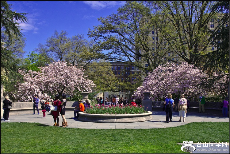 _DSC7192_.jpg