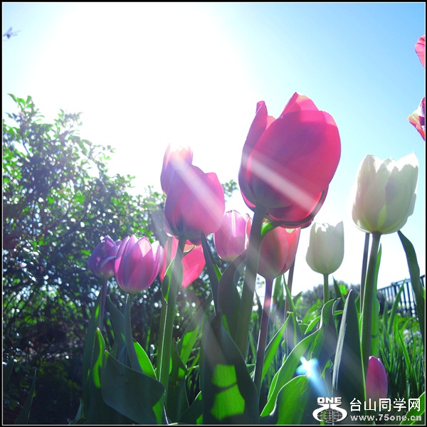 DSCN6570.jpg