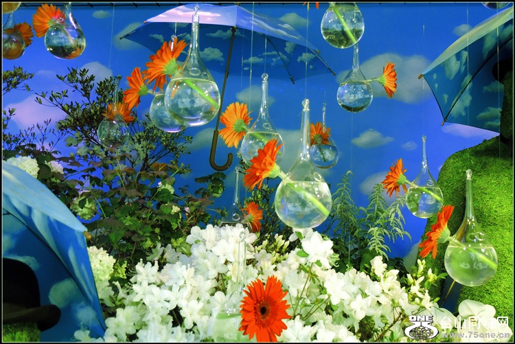DSCN6329.jpg