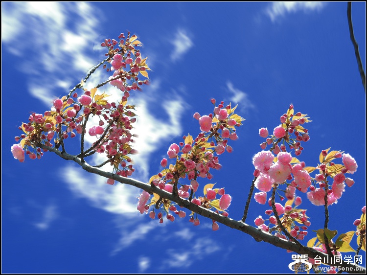 DSCN6530.jpg