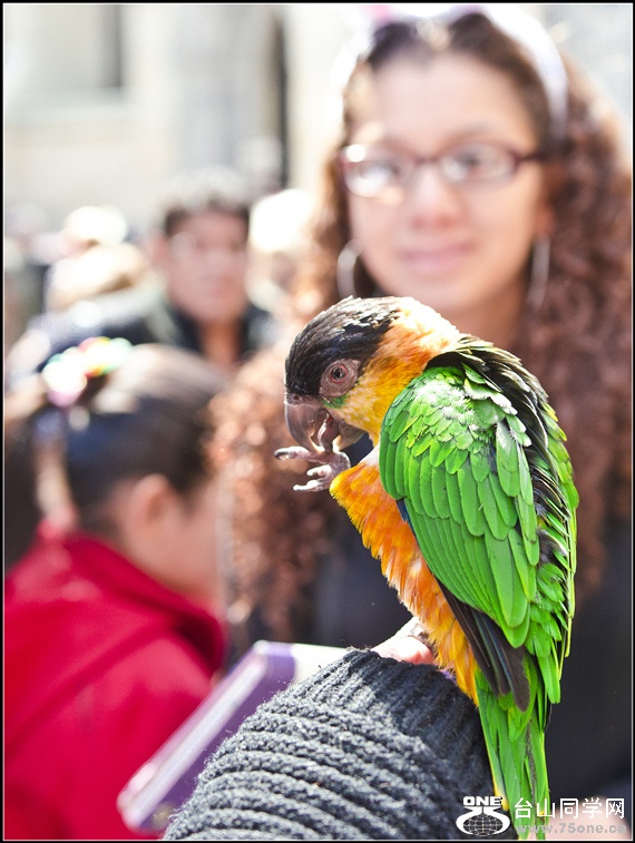_DSC6591_.jpg
