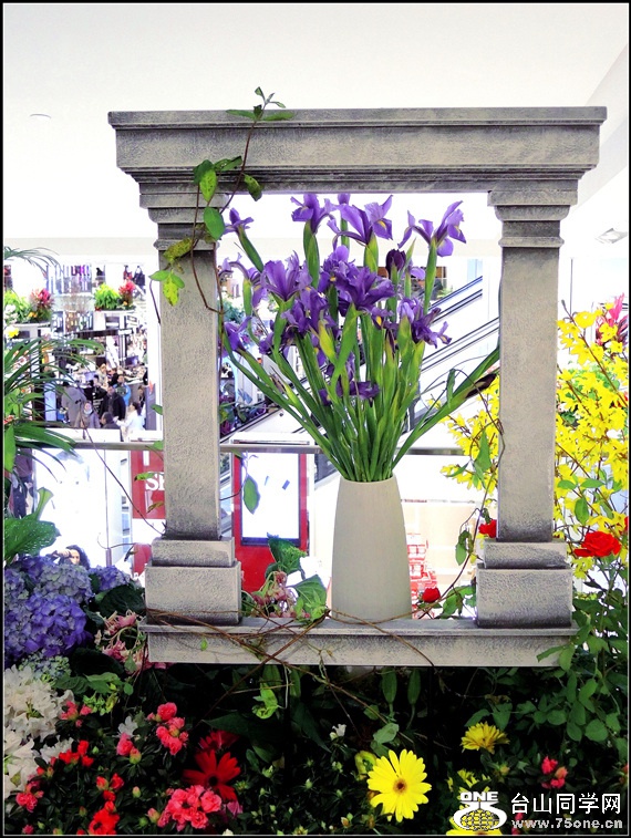 DSCN6298.jpg