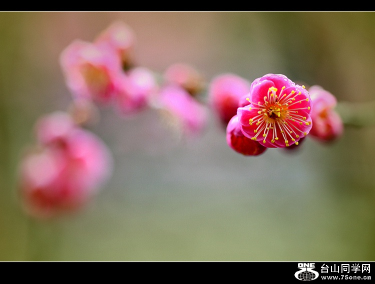 DSC_3682..jpg