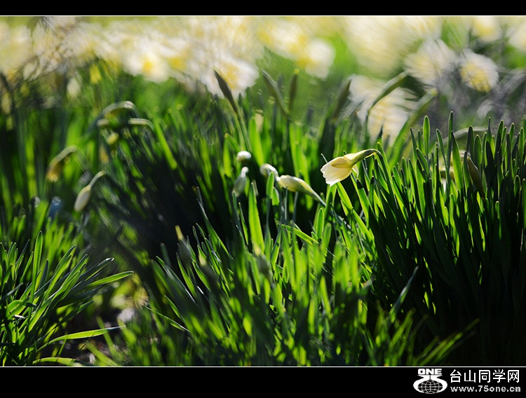 DSC_4174.jpg