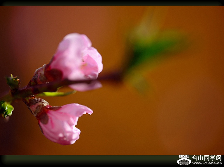 DSC_6199.jpg