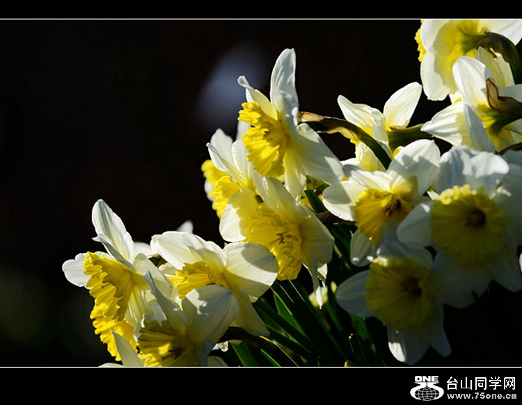DSC_4176.jpg