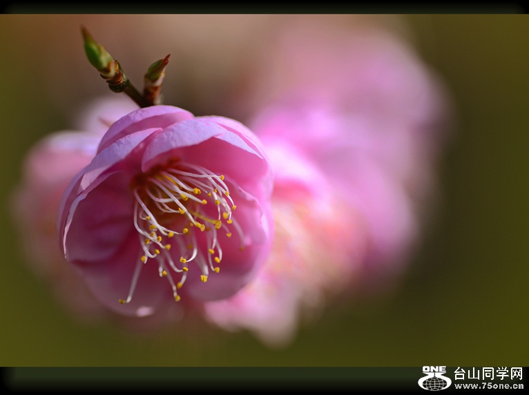 DSC_5029.jpg