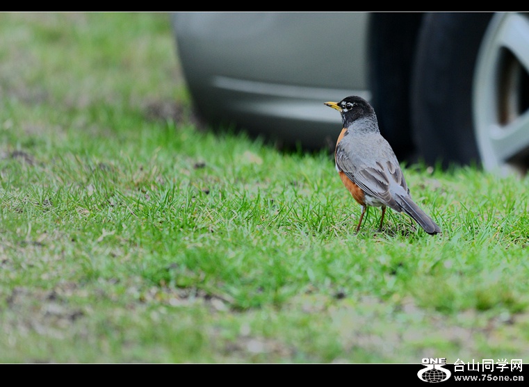 DSC_3993.jpg
