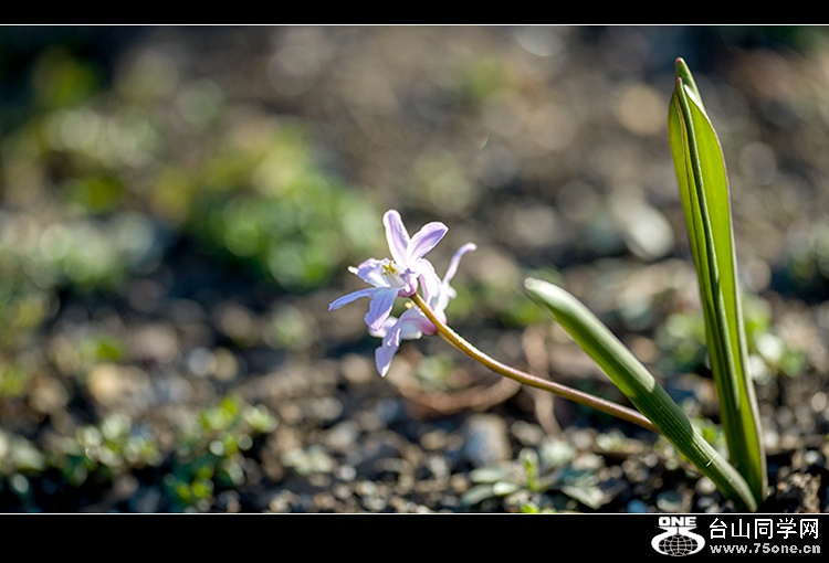 DSC_4297.jpg