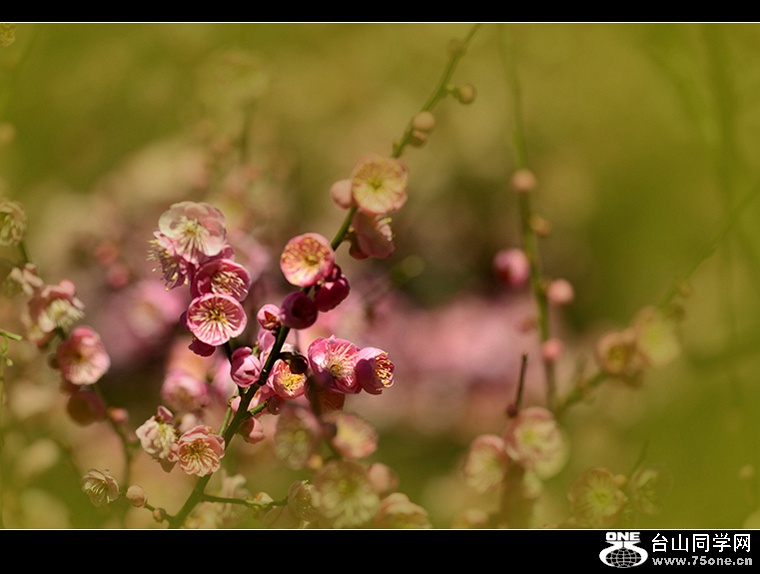 DSC_4035.jpg