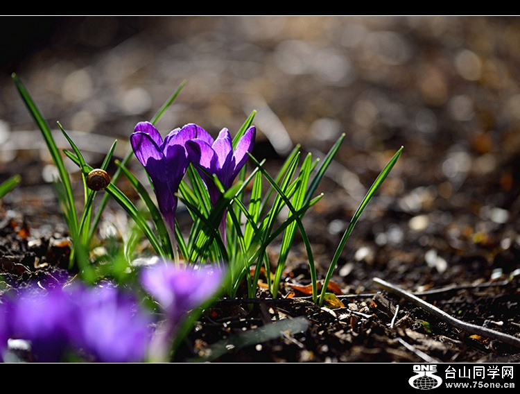 DSC_4182.jpg