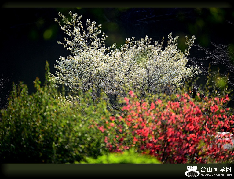 DSC_6625.jpg