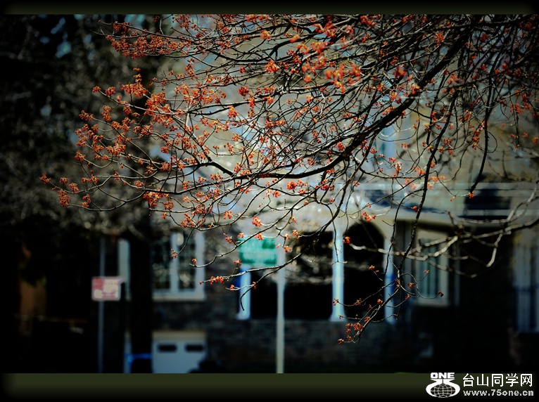 DSC_5276.jpg