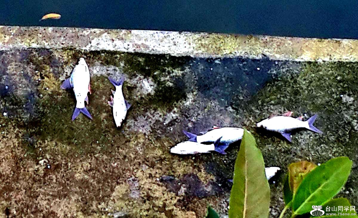 C360_2015-04-10-15-49-14-306 - .jpg